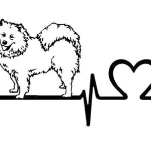 Samoyed Dog Heartbeat