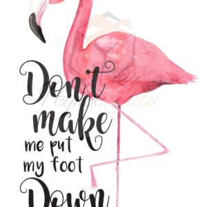Don't Make Me Put My Foot Down, Flamingo, PNG File