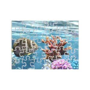 Magnetic Puzzle - 7.5" x 9.5" - 30 Pieces - Matte