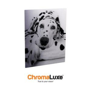 Exterior Aluminum Photo Panel - 12"x18"- Gloss Clear